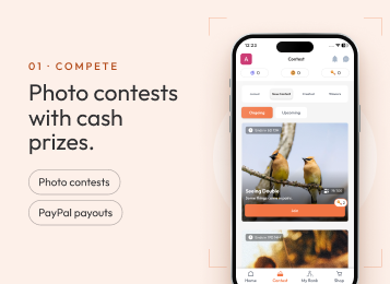 masterpics-what-we-did-banner-1